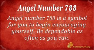 Angel Number 788