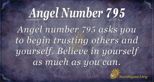 Angel Number 795