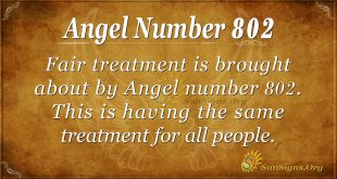 angel number 802