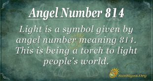 angel number 814