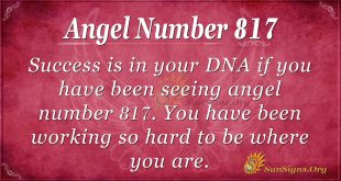 angel number 817