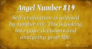 angel number 819