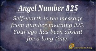 angel number 825