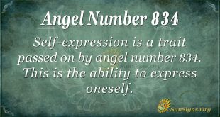 angel number 834