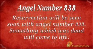 angel number 838