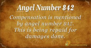 angel number 842