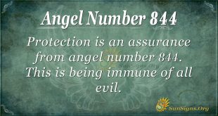 angel number 844