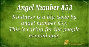 angel number 853