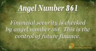 angel number 861