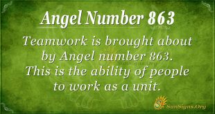 angel number 863