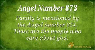 angel number 873