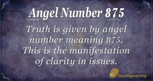 angel number 875
