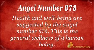 angel number 878