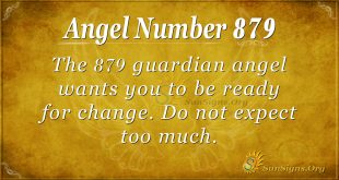 angel number 879