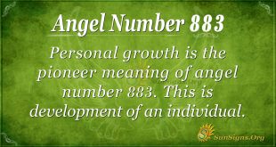 angel number 883