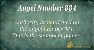 angel number 884