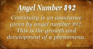 angel number 892