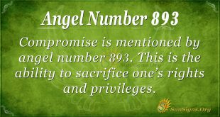 angel number 893