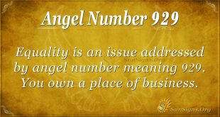 angel number 929