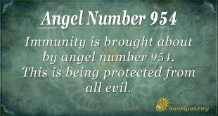 angel number 954