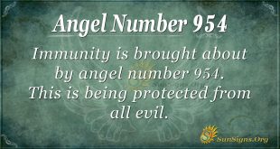 angel number 954