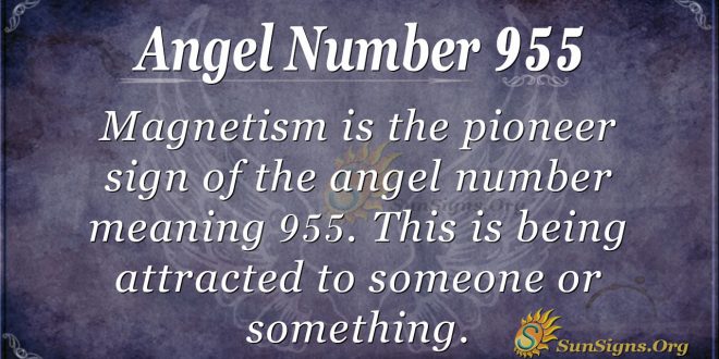 angel number 955