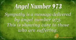 angel number 973