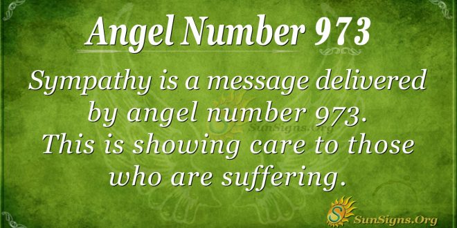 angel number 973