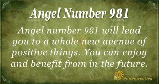 angel number 981