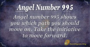 angel number 995