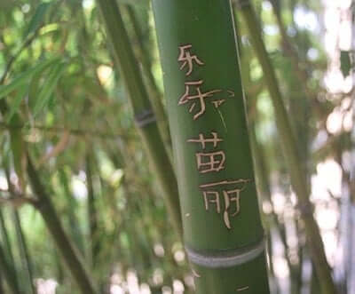 chinese symbols for longevity