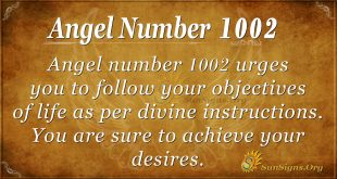 angel number 1002