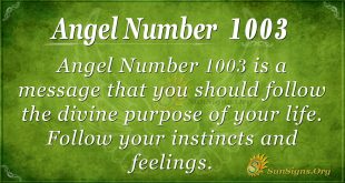 angel number 1003