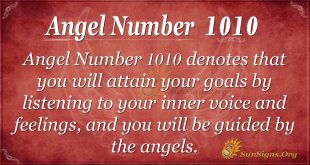 Angel Number 1010