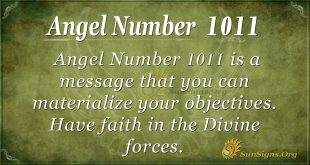 angel number 1011