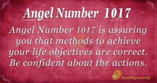 angel number 1017