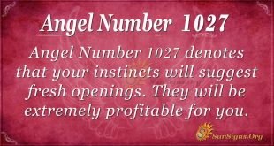 angel number 1027
