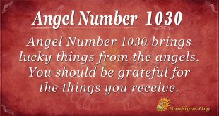 angel number 1030