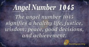 angel number 1045