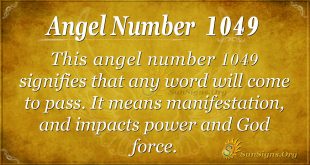 angel number 1049