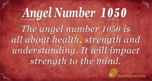 angel number 1050