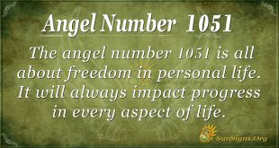 angel number 1051