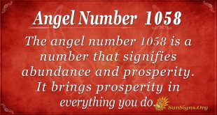angel number 1058