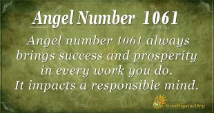 angel number 1061