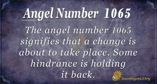 angel number 1065