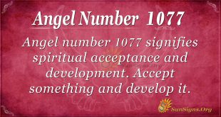 angel number 1077