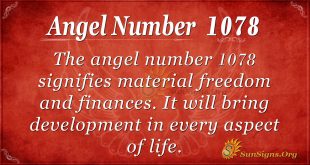 angel number 1078