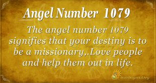 angel number 1079