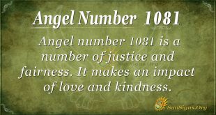 angel number 1081