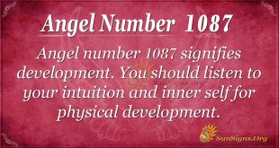 angel number 1087
